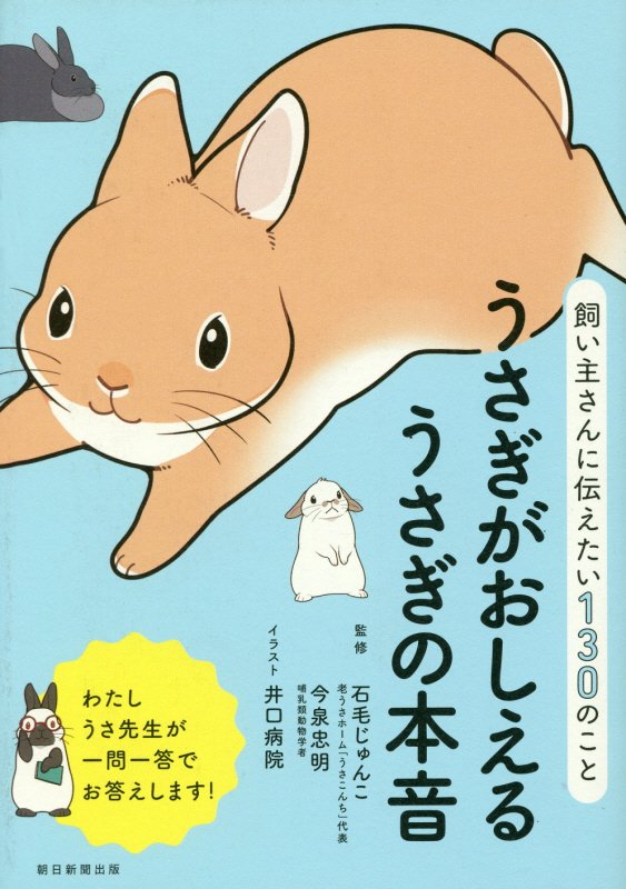 うさぎがおしえるうさぎの本音　飼い主さんに伝えたい１３０のこと　