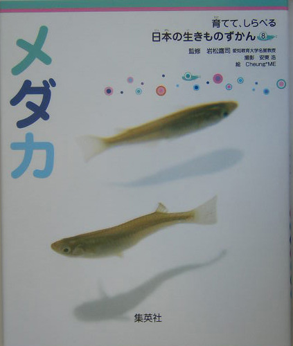 メダカ　　（育てて、しらべる日本の生きものずかん）