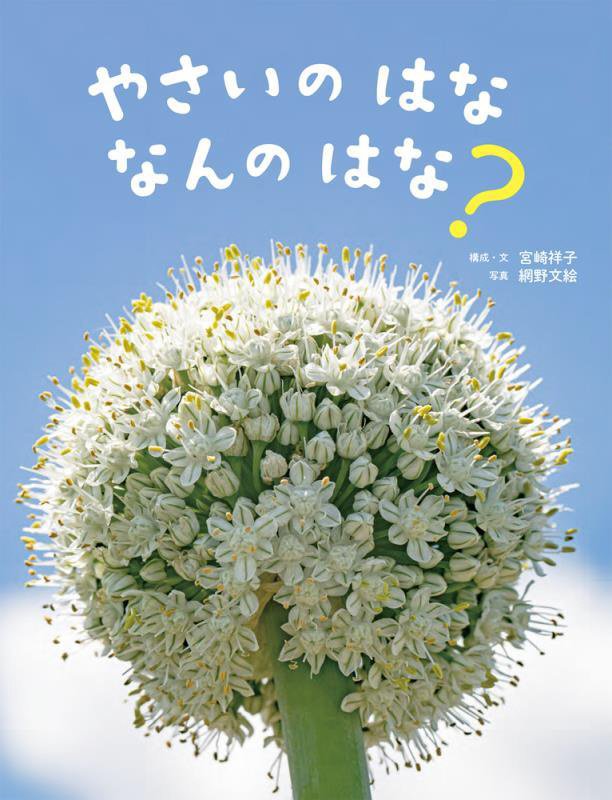 やさいのはななんのはな？　　（かがくすっ）