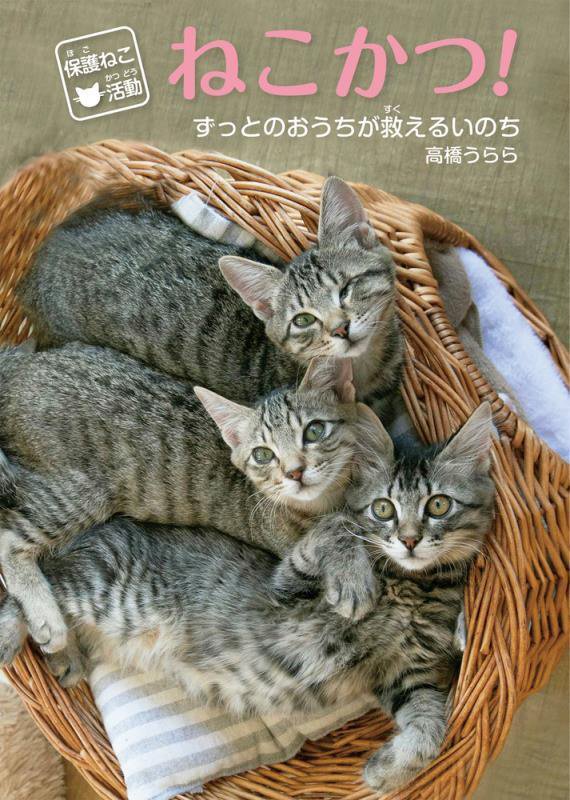 保護ねこ活動ねこかつ！　ずっとのおうちが救えるいのち　