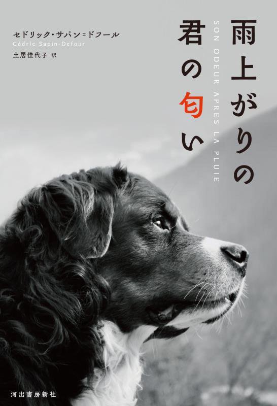 雨上がりの君の匂い　