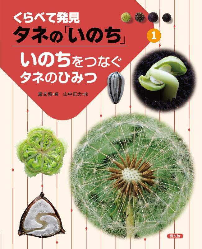 くらべて発見タネの「いのち」　１　いのちをつなぐタネのひみつ