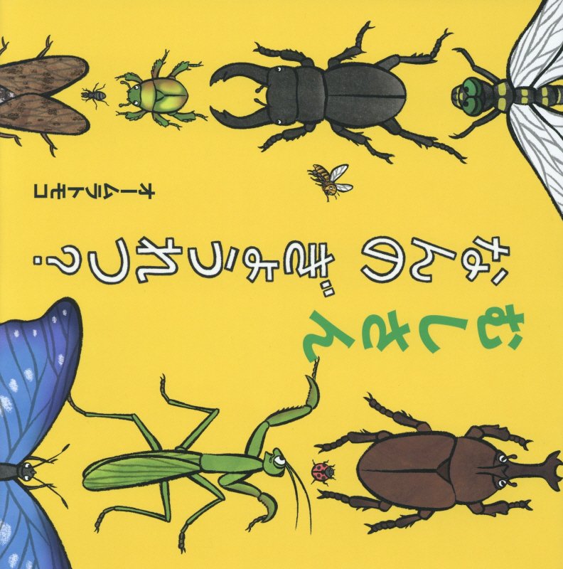 資料詳細