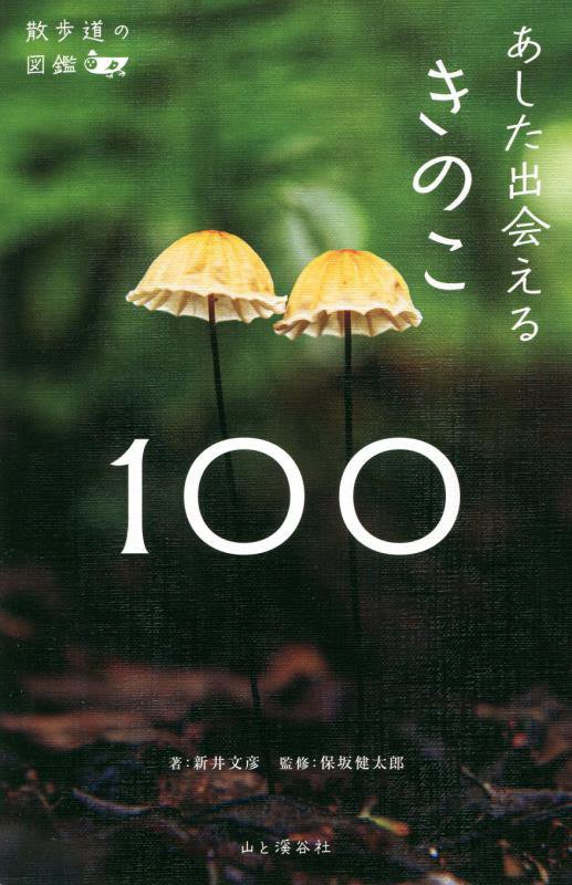 あくむ 集英社文庫 井上夢人 著者 95 Off 井上夢人