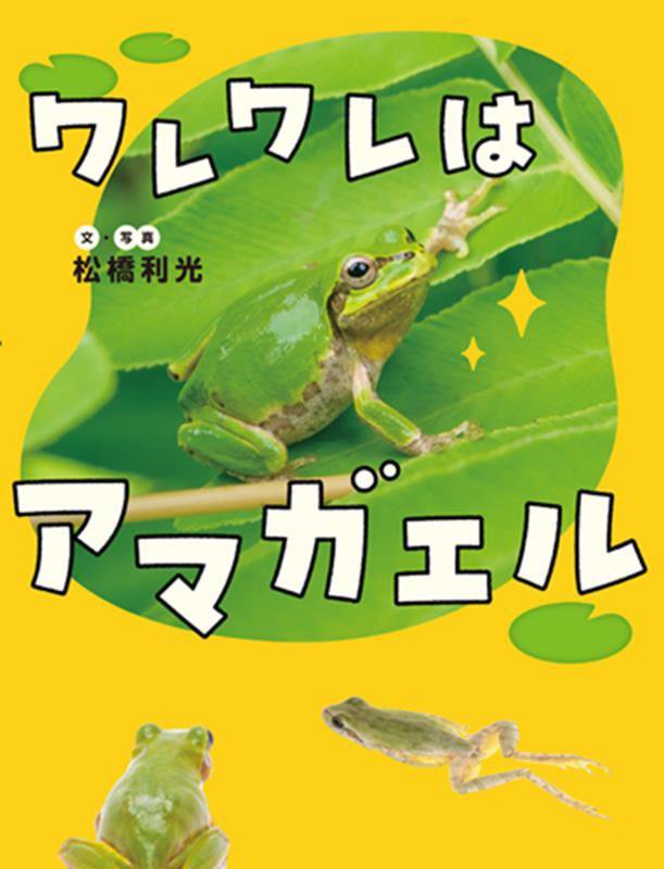 ワレワレはアマガエル　