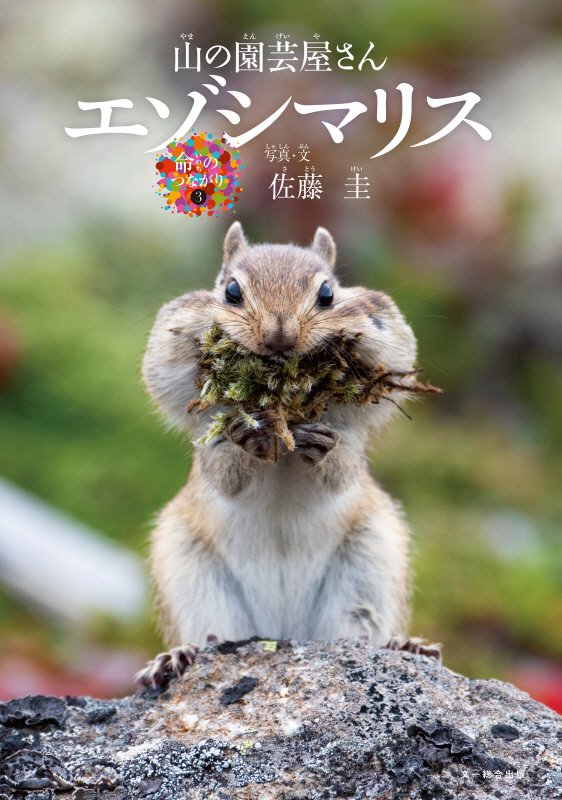 エゾシマリス　山の園芸屋さん　　（命のつながり）