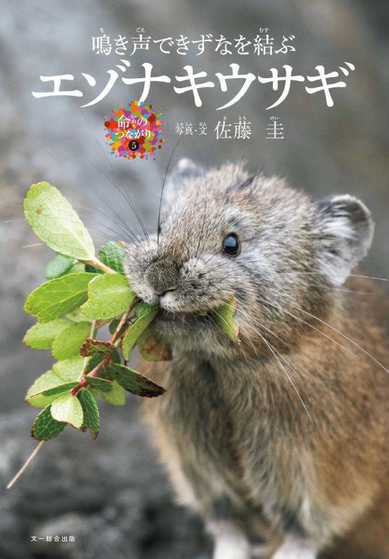 エゾナキウサギ　鳴き声できずなを結ぶ　　（命のつながり）