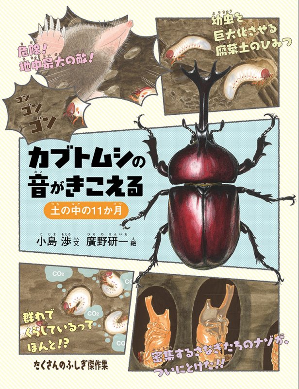 カブトムシの音がきこえる　土の中の１１か月　　（たくさんのふしぎ傑作集）