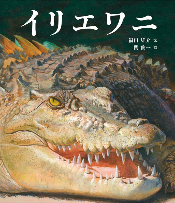 イリエワニ　