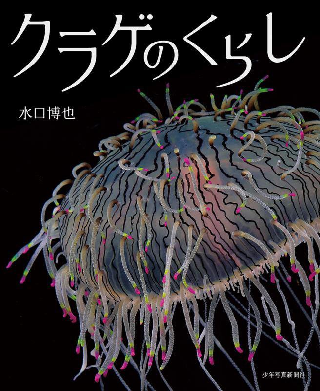 クラゲのくらし　　（少年写真新聞社写真絵本）