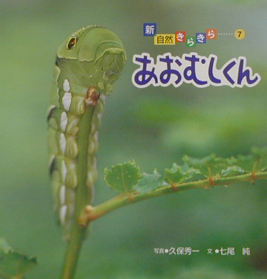 あおむしくん　　（新・自然きらきら）