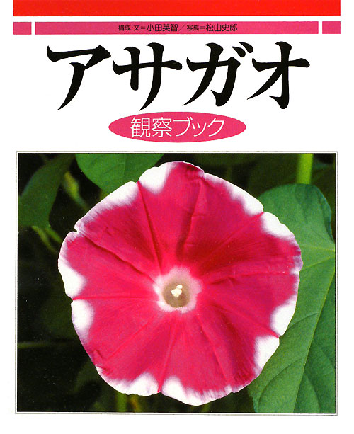 アサガオ観察ブック　