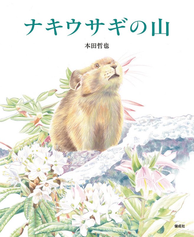 ナキウサギの山　