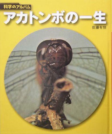 アカトンボの一生　　（科学のアルバム）