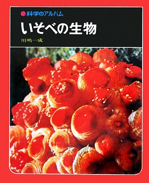 いそべの生物　　（科学のアルバム）
