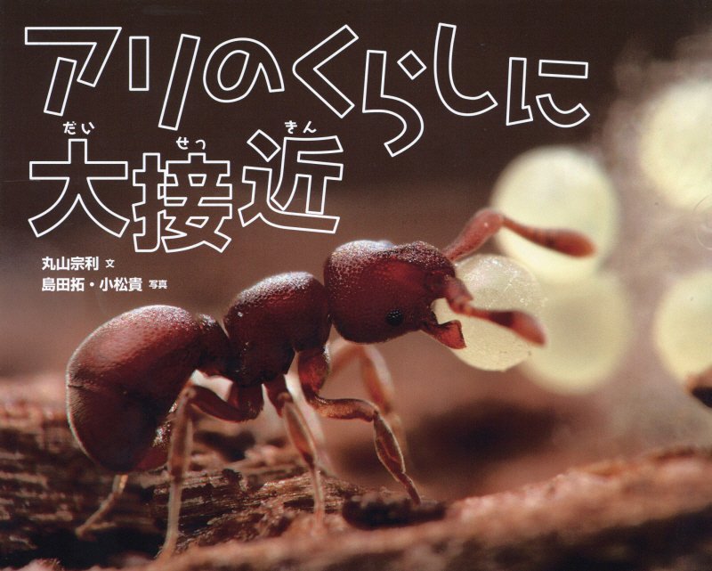 アリのくらしに大接近　