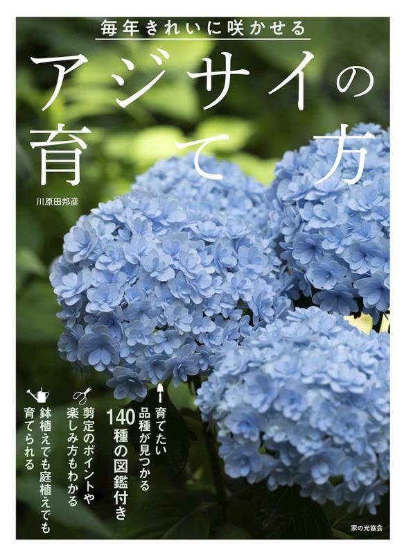 アジサイの育て方　毎年きれいに咲かせる　