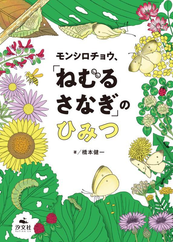 モンシロチョウ、「ねむるさなぎ」のひみつ　