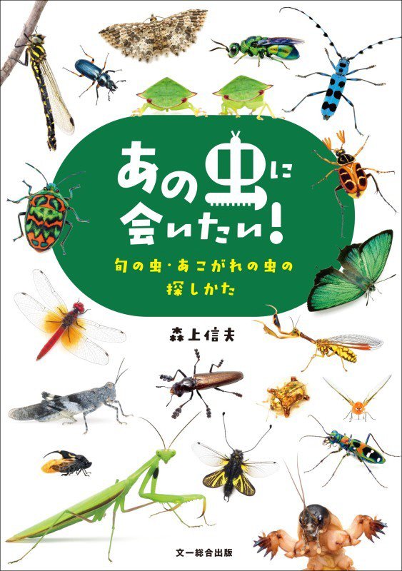 あの虫に会いたい！　旬の虫・あこがれの虫の探しかた　