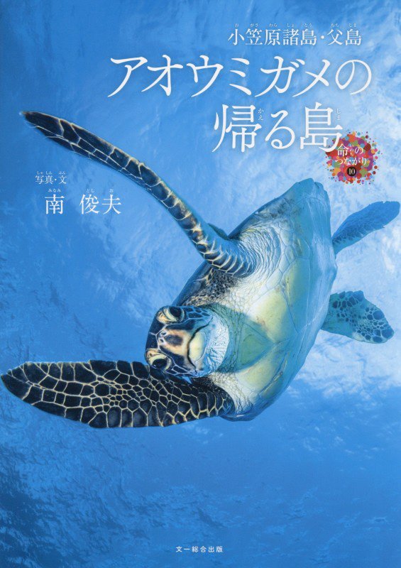 アオウミガメの帰る島　小笠原諸島・父島　　（命のつながり）