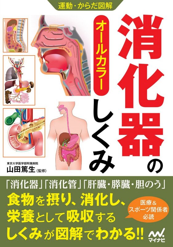 消化器のしくみ　　（運動・からだ図解）