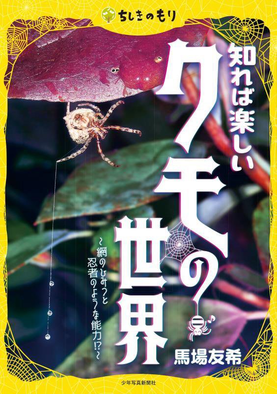知れば楽しいクモの世界　網のひみつと忍者のような能力！？　　（ちしきのもり）